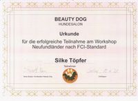 Seminar Beauty Dog (1)