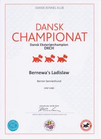 DK Champion kleiner