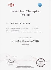 VDH Champion Ladislaw klein